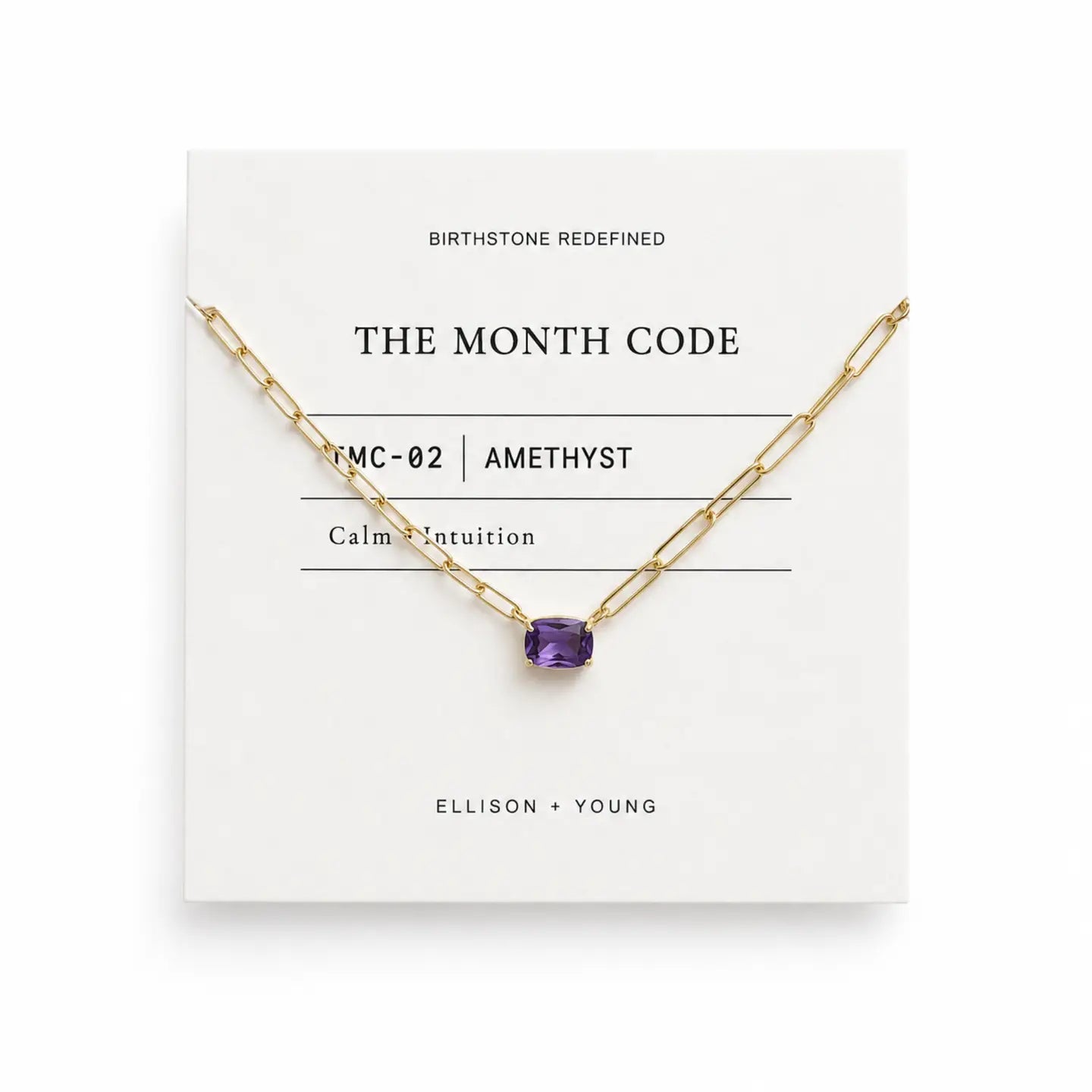 The Birthstone Necklace-February
