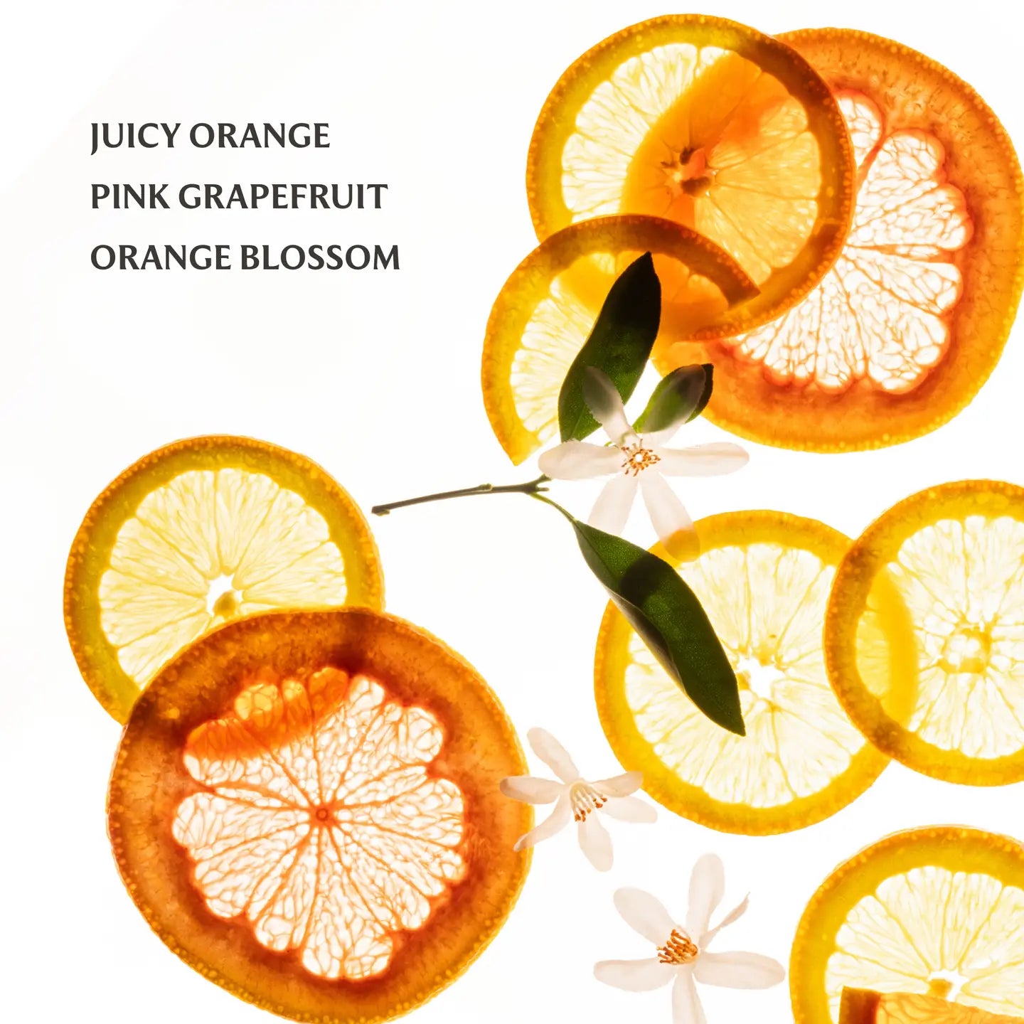 Citrus Grove