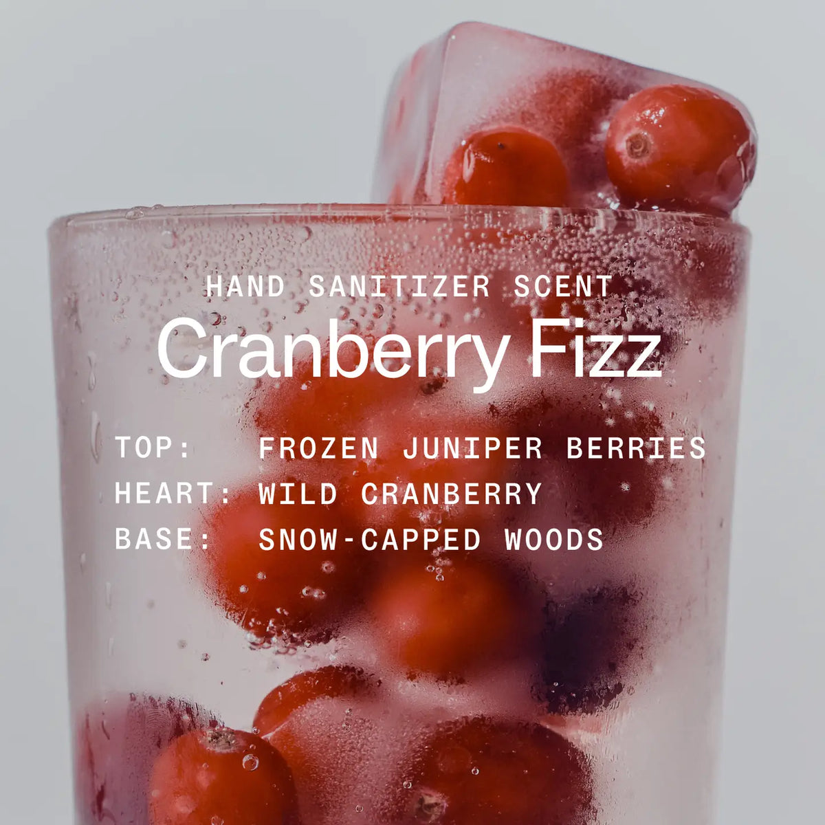 Cranberry Fizz Power Mist Hand Sanitizer