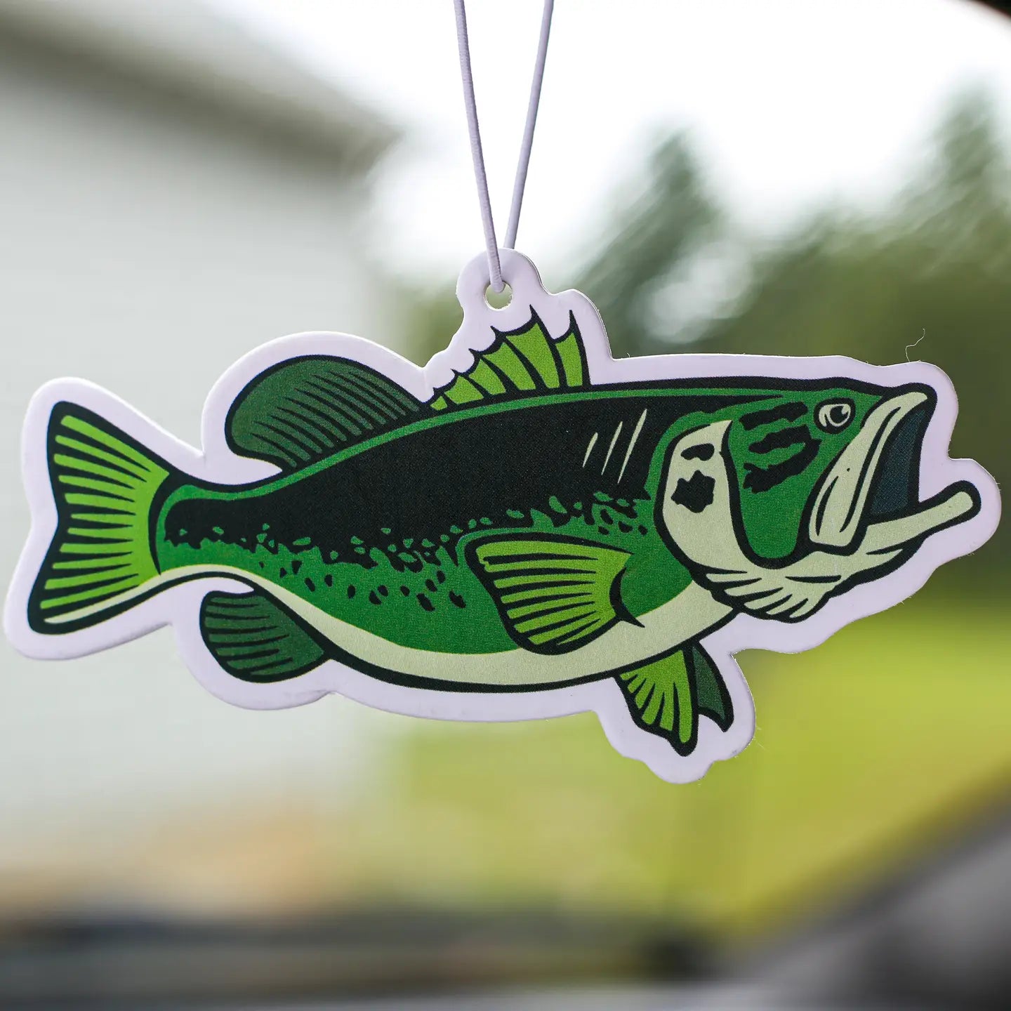 Bass