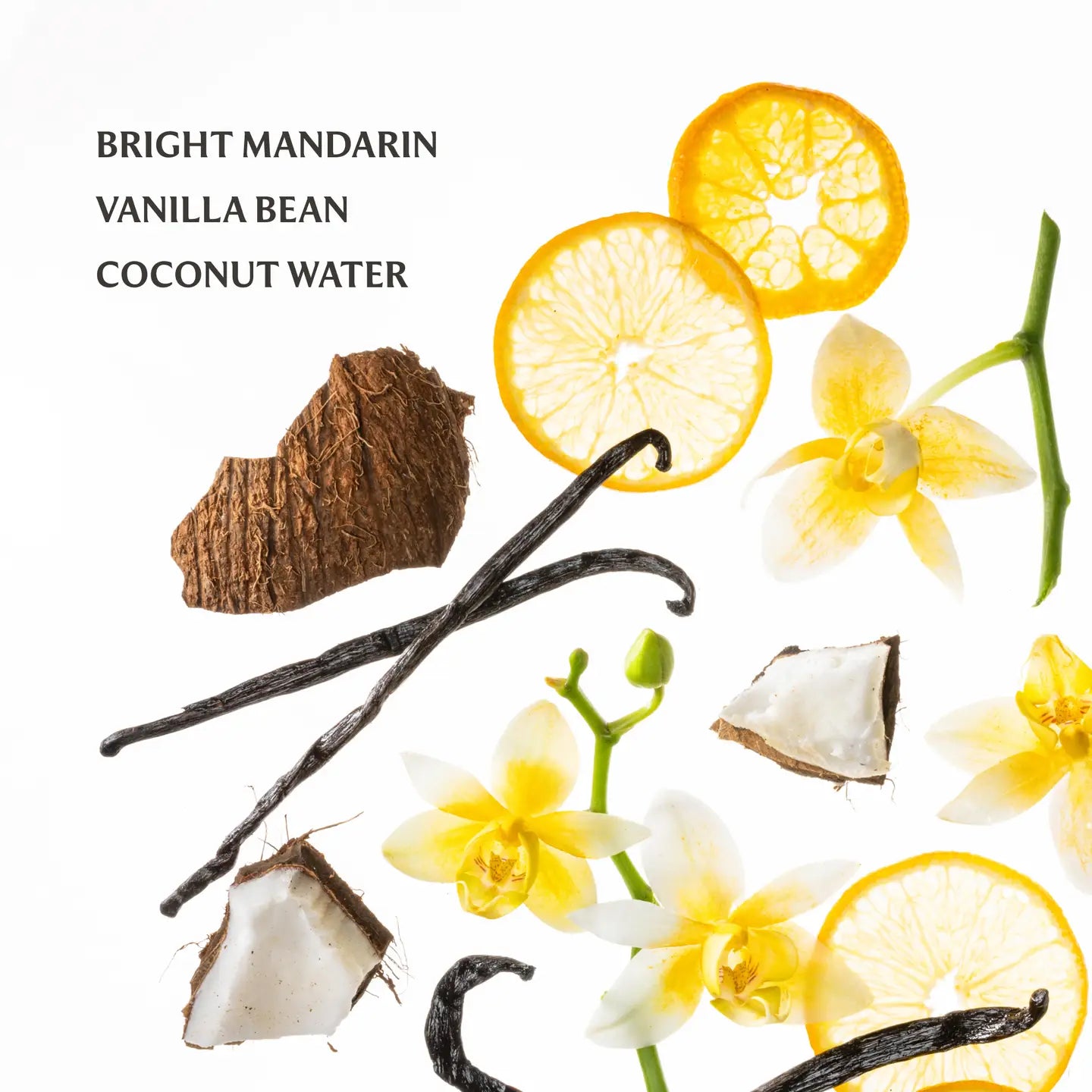 Vanilla Blossom