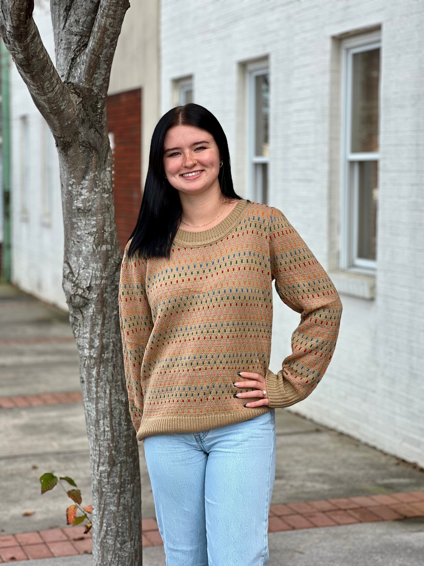 Multi Color Jacquard Sweater
