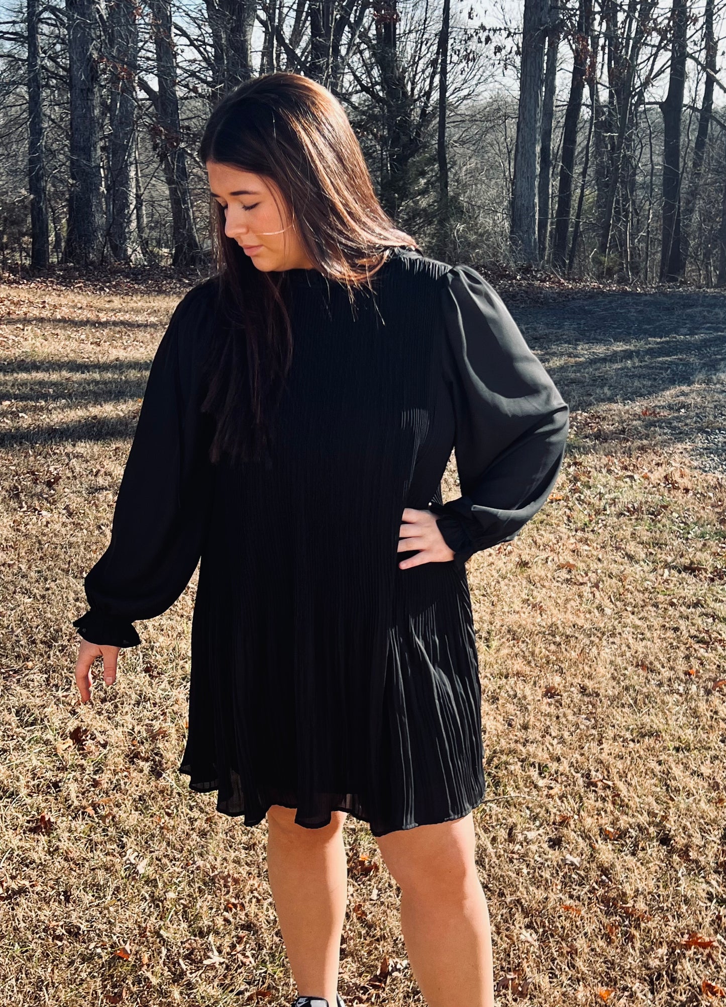 Carmichael Pleated Mini Dress in Black**FINAL SALE**