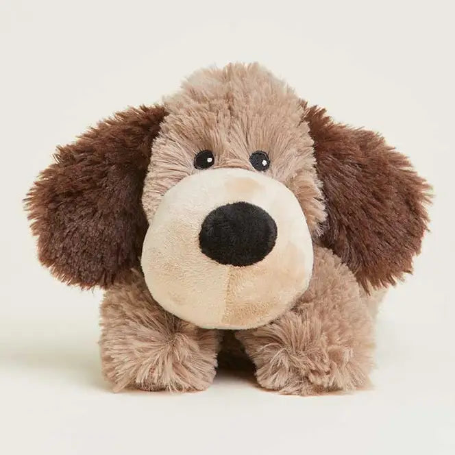 Brown Dog Warmie Junior