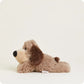Brown Dog Warmie Junior