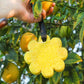 Papaya Yuzu Wild Flower